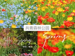 -上海辰山植物园