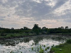 -上海海湾国家森林公园