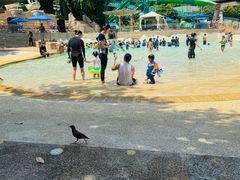 -新加坡水上探险乐园