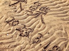 -烟台金沙滩海滨公园