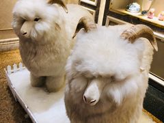 -新兴家喻酒家·羊城名宴(昌岗店)