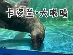 -重庆欢乐海底世界
