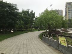 -南翔镇银翔湖公园