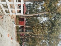 -洪湖家庭农场·团建·露营·会议
