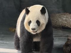 -秦皇岛野生动物园