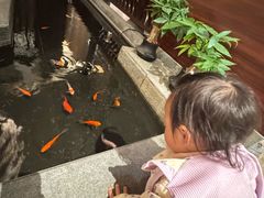 -品粹徽园·家常安徽菜