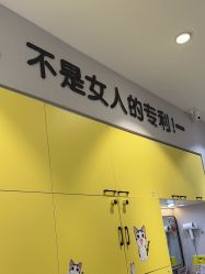 -洗脸猫·洗脸吧