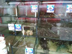 -南海渔家•海鲜•正宗海南菜(海棠湾店)