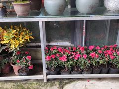 -金科花卉市场