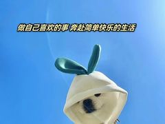 -怂嘴冷锅串串&乐山烧烤(中赢康康谷店)