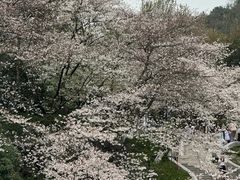 -杭州少年儿童公园