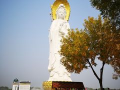 -白洋淀景区