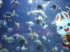 -海合安青岛极地海洋公园