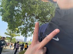 -桃花岭景区
