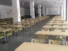 -中加枫华国际学校