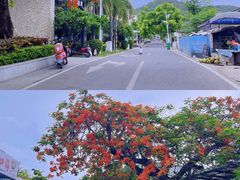 -三亚西岛海洋文化旅游区