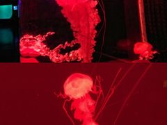 -多彩贵州城极地海洋世界