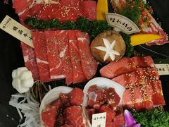 -猫爪爪原切自助烤肉(观音桥阳光世纪店)