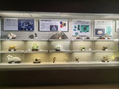 -恩格贝生态旅游区