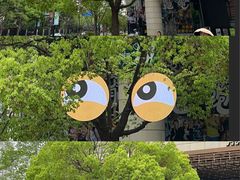 -瑞虹新天地月亮湾