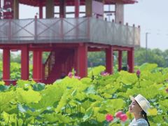 -嘉北郊野公园