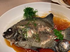 陈皮蒸牡丹鱼-金苑海鲜酒家(来魅力店)