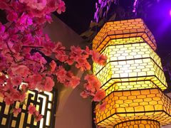 包房-今朝桃花醉川菜小酒馆(龙湖天街店)