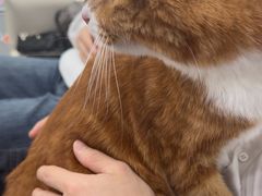-爱洗澡的猫(天河路店)