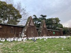 -上海野生动物园