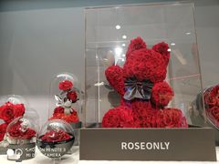 -ROSEONLY诺誓(广州K11店)
