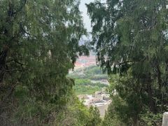 -府君山公园