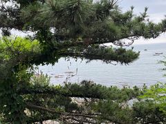-大连金石滩滨海国家地质公园