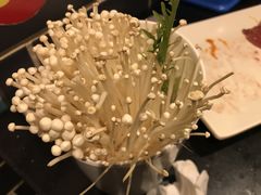 -宽板凳老灶火锅(簋街店)