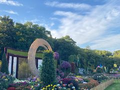 -上海共青森林公园