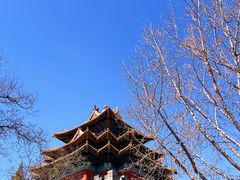 -东华门大街小区