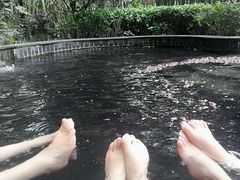 -洪湖悦兮半岛国际温泉度假村
