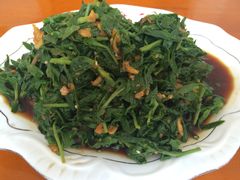 凉拌野菜-雪野鱼头大王邢府公老店(雪野湖店)