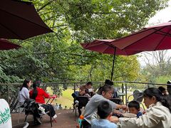 -鸡鸣汤包(红山动物园店)