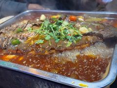 -沈胖子音乐烤吧·炒菜·龙虾(环城东路店)