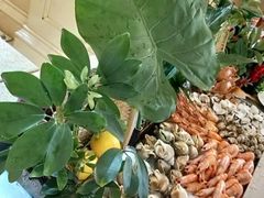 -广州凤凰城酒店-维也纳西餐厅