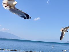 -大理洱海