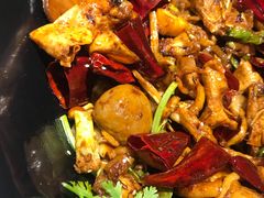 -食乐佳麻辣香锅(森林摩尔商业街区店)