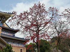 -广州中山纪念堂