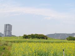 -光明小镇欢乐田园