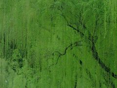 -苏州上方山国家森林公园