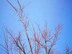 -白塘生态植物园