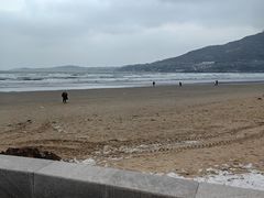 -金海滩海水浴场