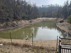 -青龙山国家森林公园