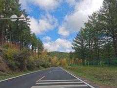 -塞罕坝国家级自然保护区