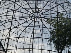 -保定市动物园